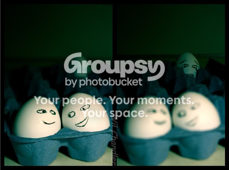 Eggs-1.jpg