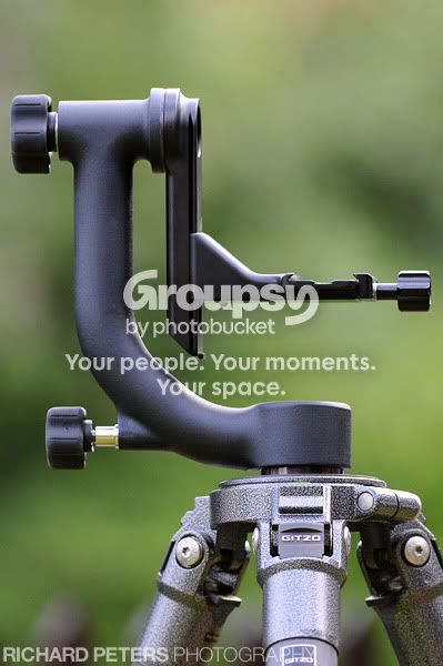 RDX_4455.jpg