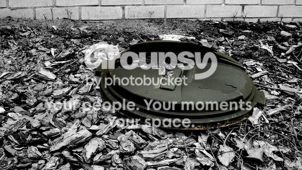 BWNug2.jpg