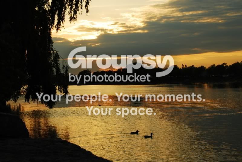 DucksintheSunset.jpg