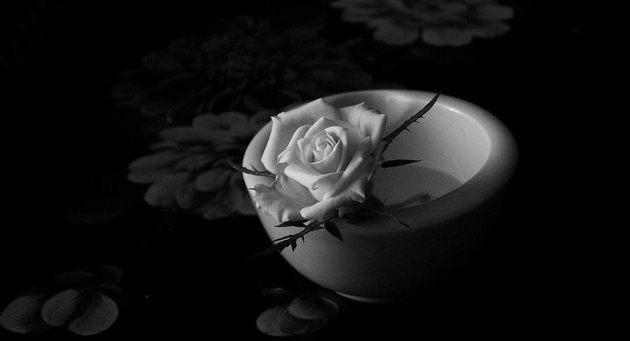 Interlude_by_Poe_T.jpg