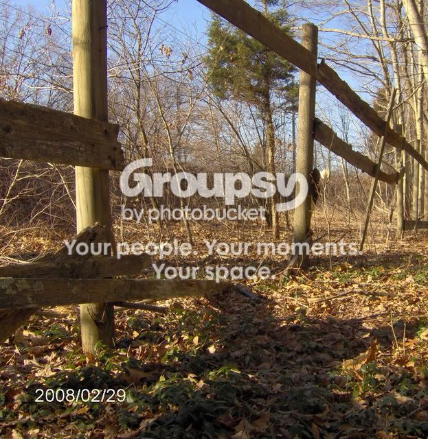 normalfence-1.jpg