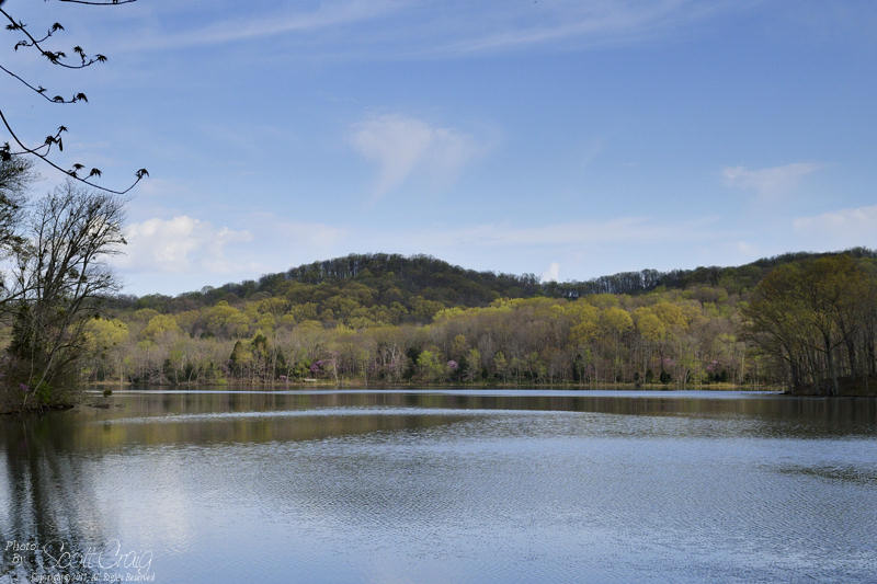 2012-03-18-04.jpg