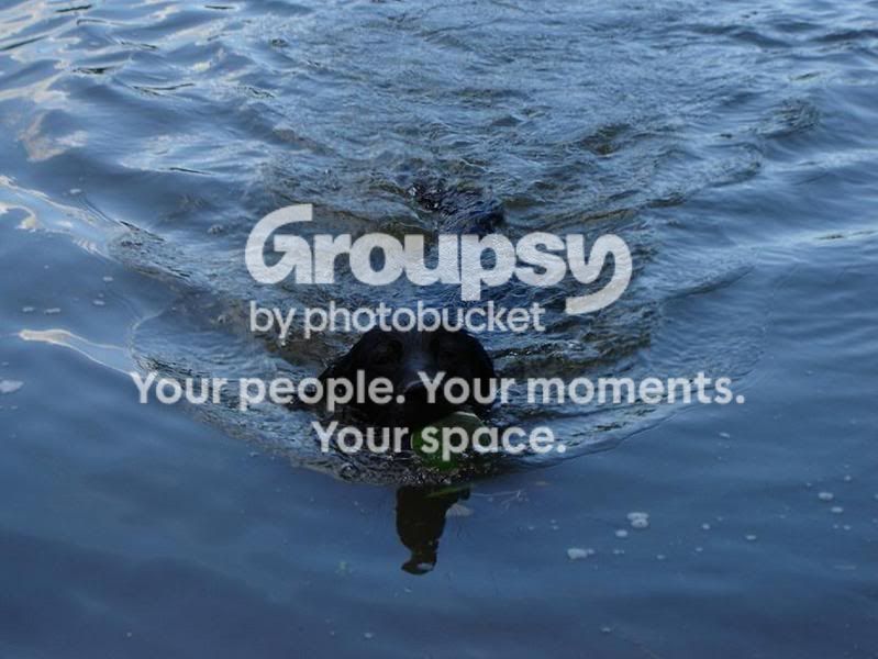 swim1.jpg