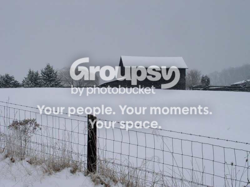 P1010419CBResz.jpg
