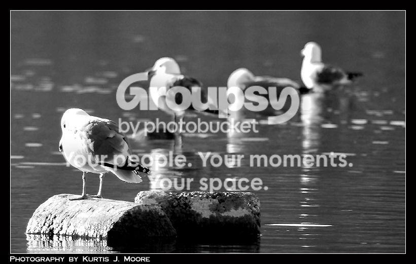 DSC_1565copy.jpg