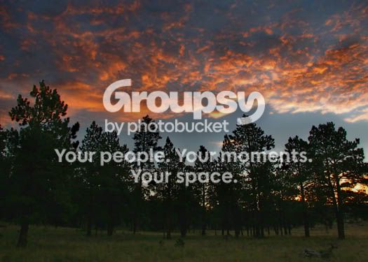 sunrisesilhouette3b.jpg