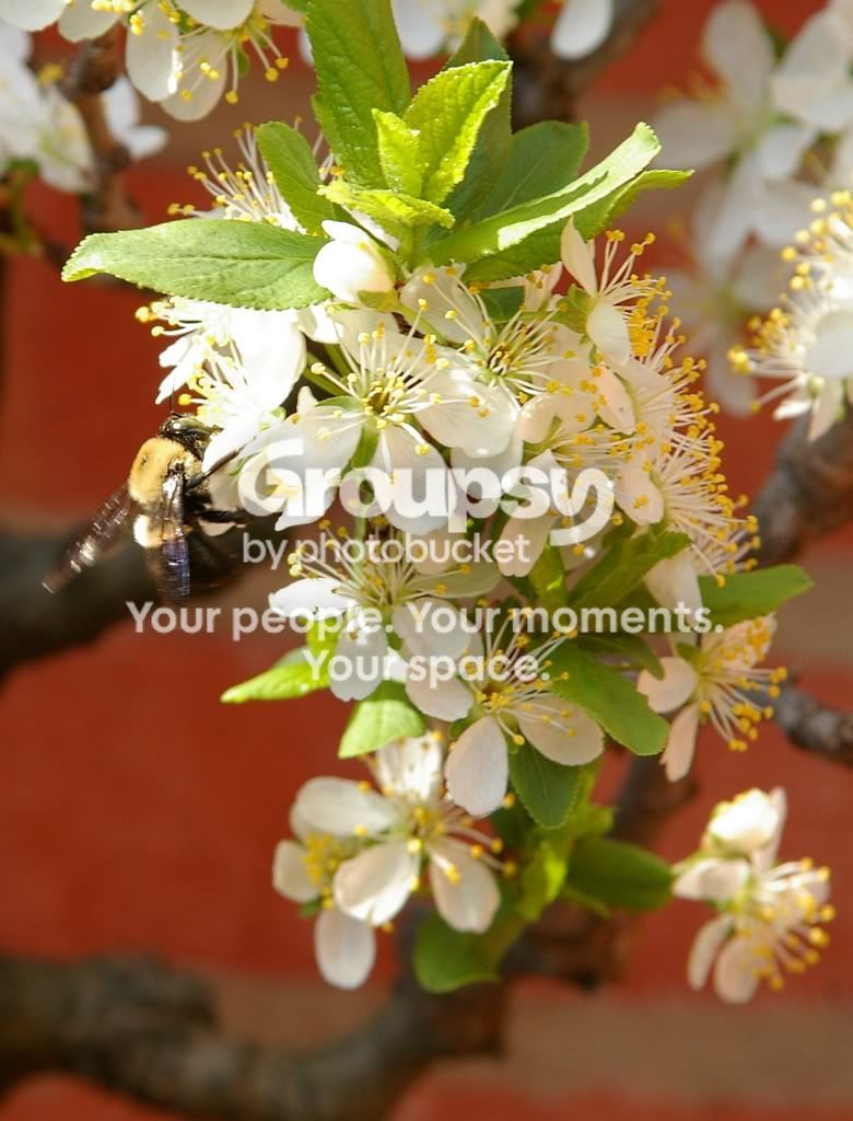 IMGP1119a.jpg