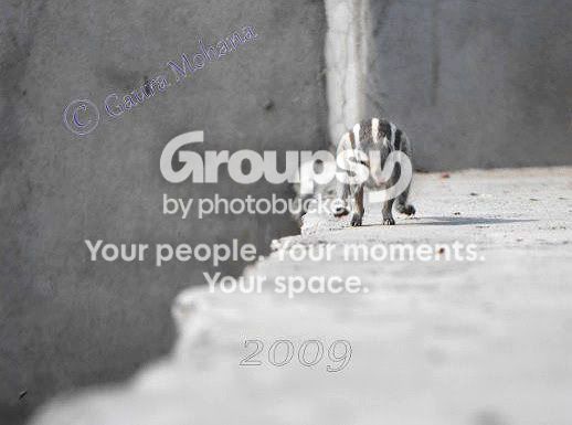 11238_210321812635_751882635_324580.jpg