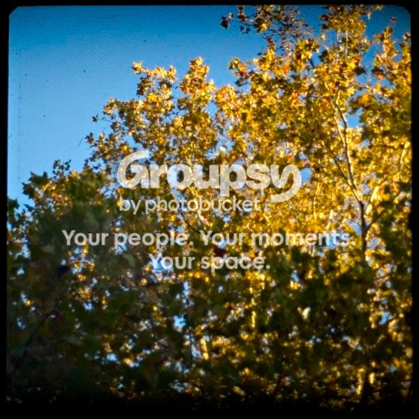 ttv-ffall1choice.jpg