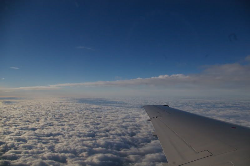 holiday2007082.jpg
