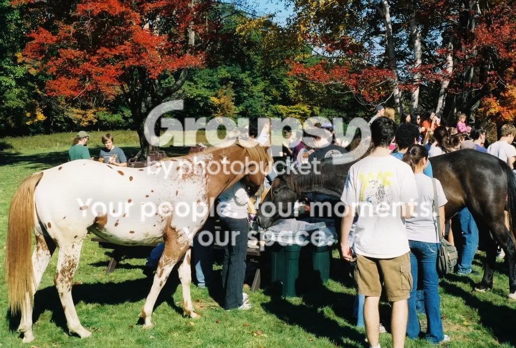 crowdcontrol1.jpg