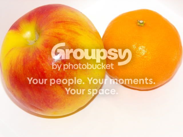 2008_1231Stuff0008.jpg