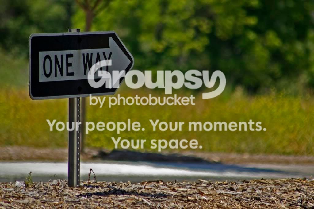 _IGP3853resize.jpg