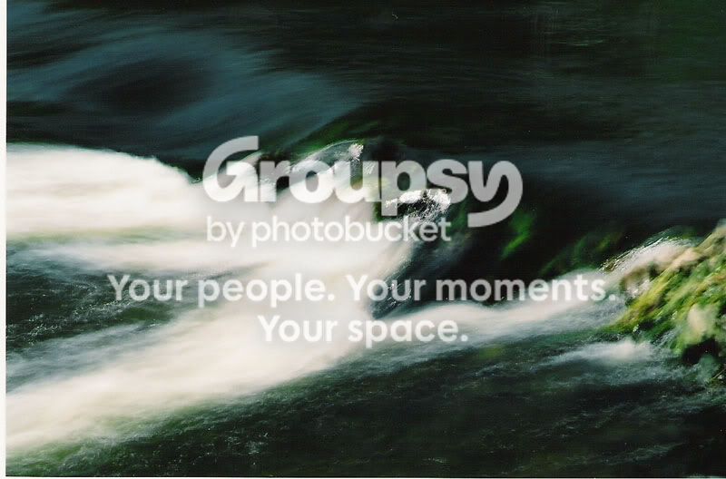 Water.jpg