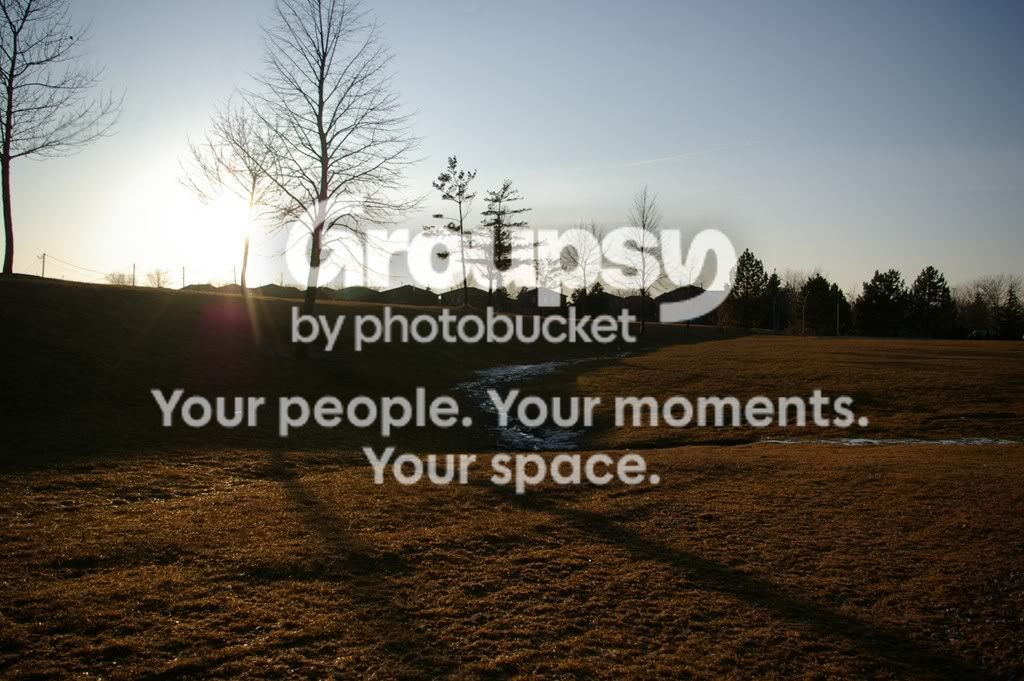 CopyofPhotography034.jpg