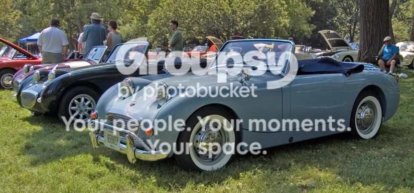 Bugeye002081206.jpg