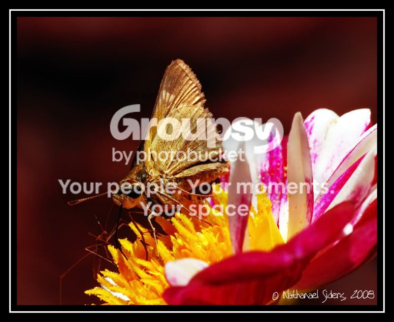 2008-08-23_4web.jpg