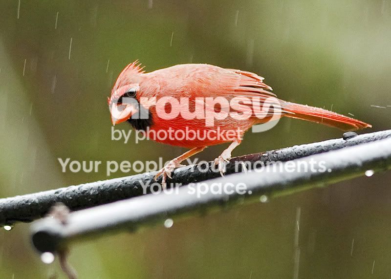 15-March-41-Edit.jpg