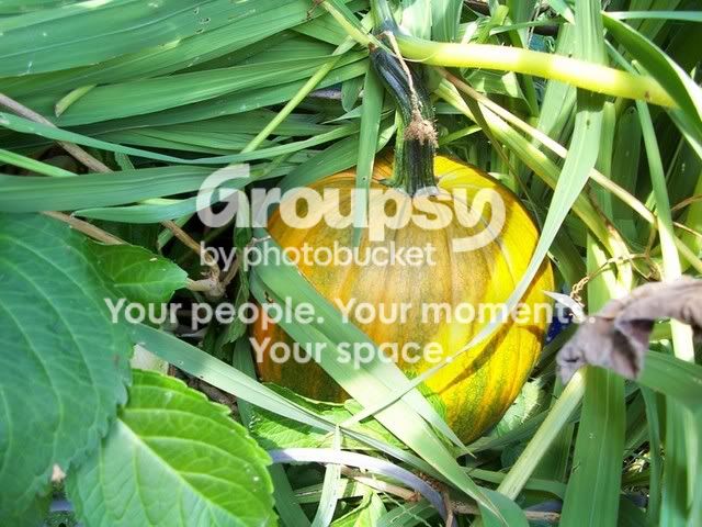100_1339.jpg