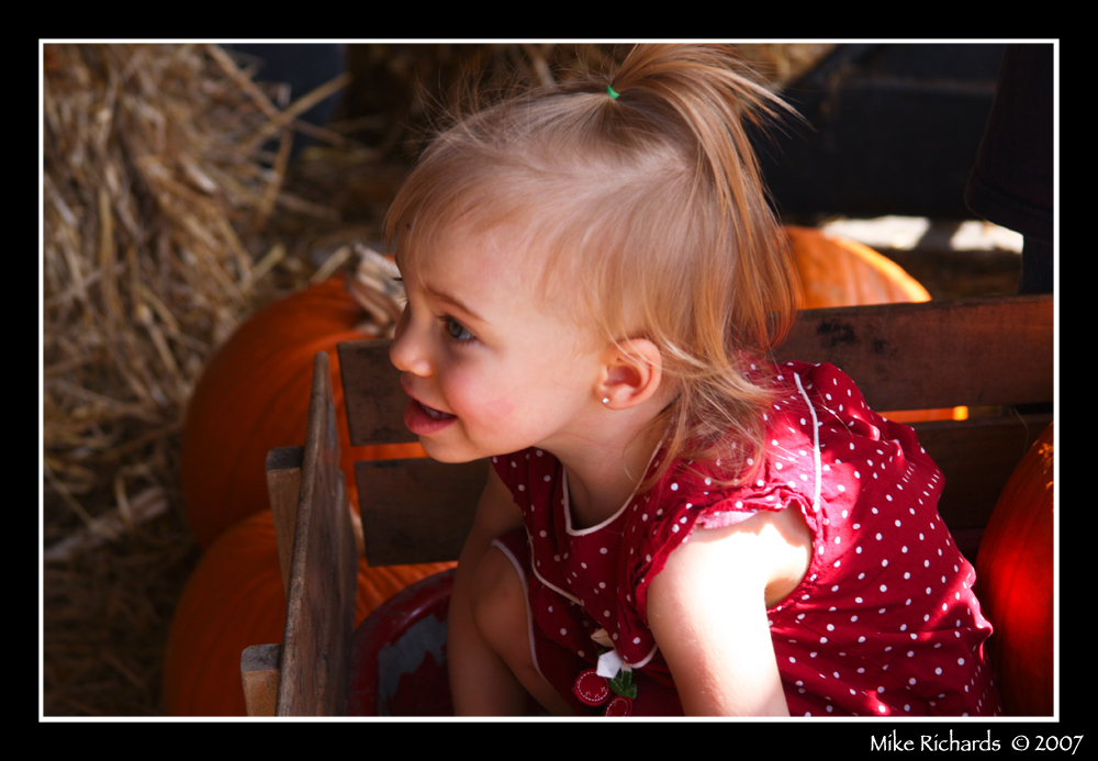 1799219227_d8e8336735_o.jpg