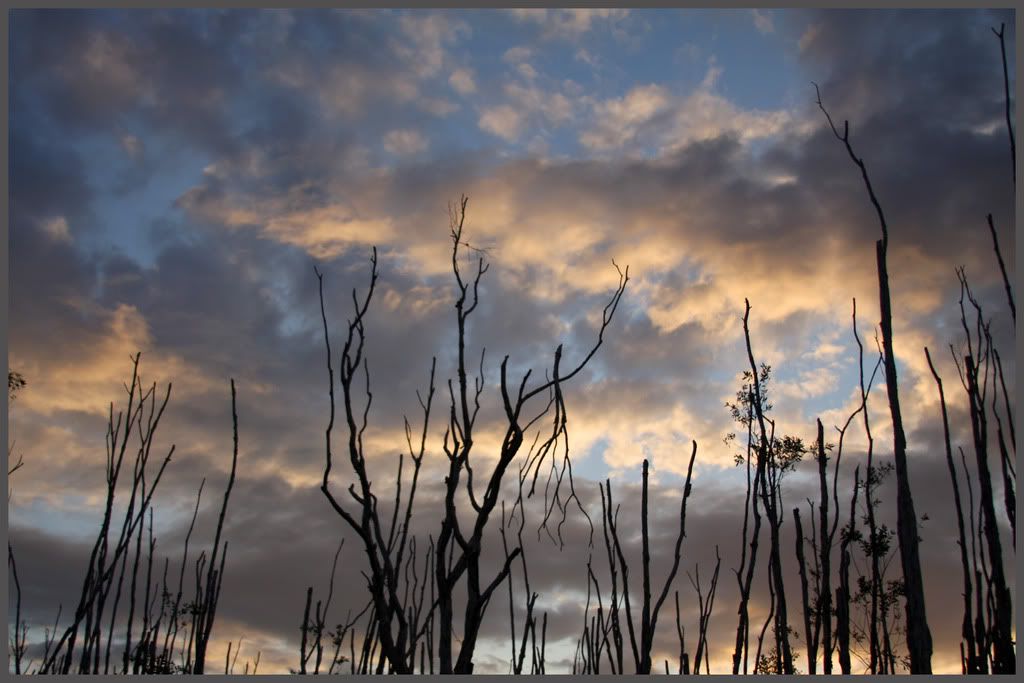 Sunset2.jpg