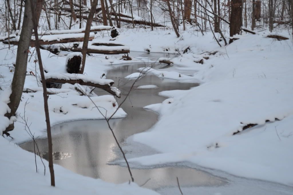 DSC_0020.jpg