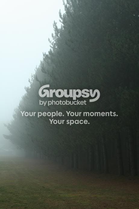 Fog2.jpg