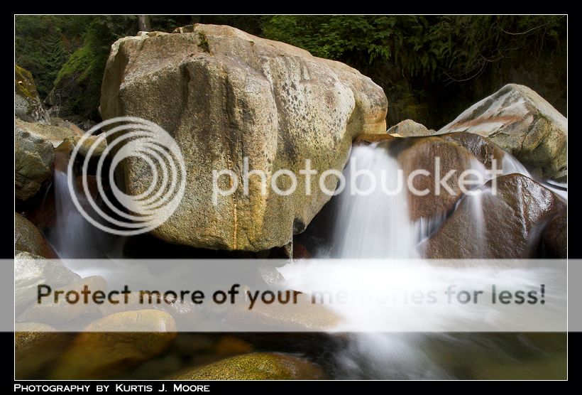 DSC_4384-01copy.jpg