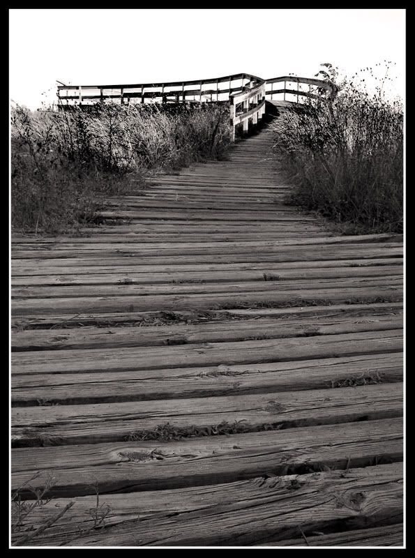 09-25-2007002-3.jpg