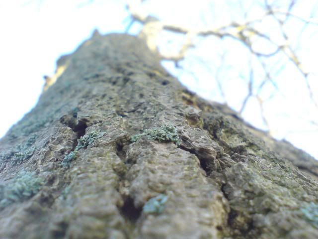 DSC01519.jpg