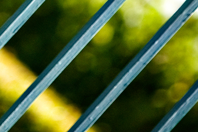 6278847623_d1ddb65aa5_z.jpg