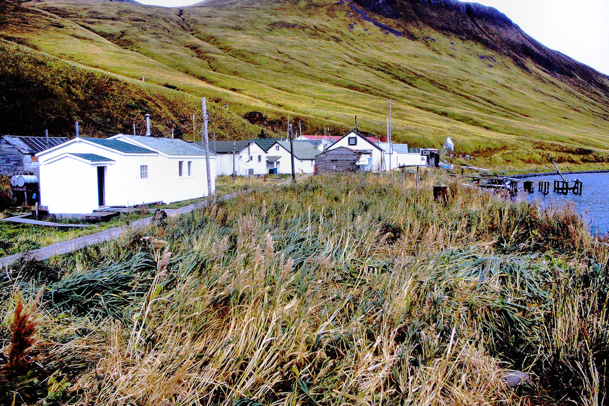 PICT2854a.jpg
