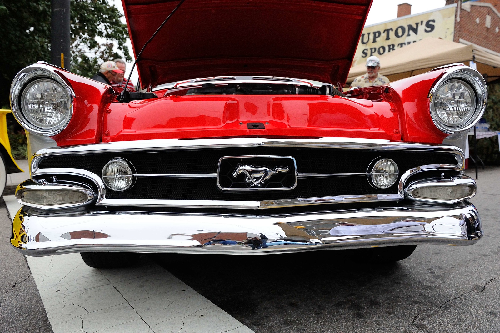 DSC_00274-X3.jpg