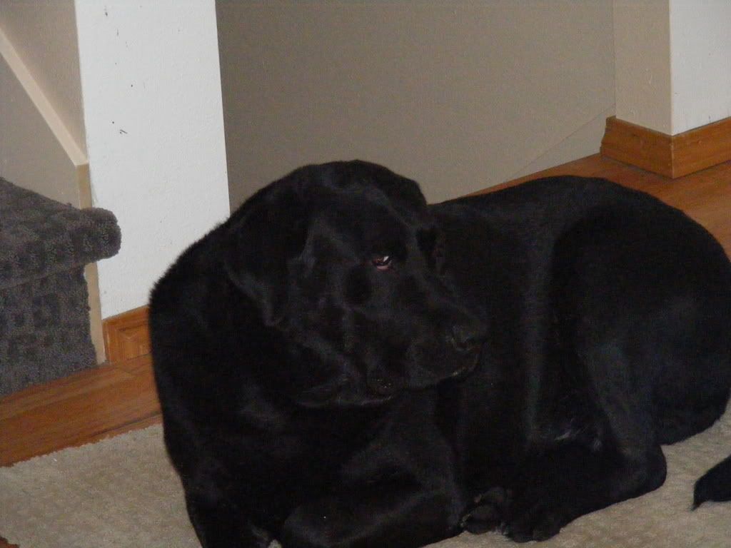 DSCF0017.jpg