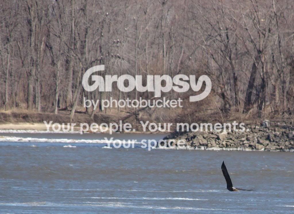 2-9-10006-1.jpg