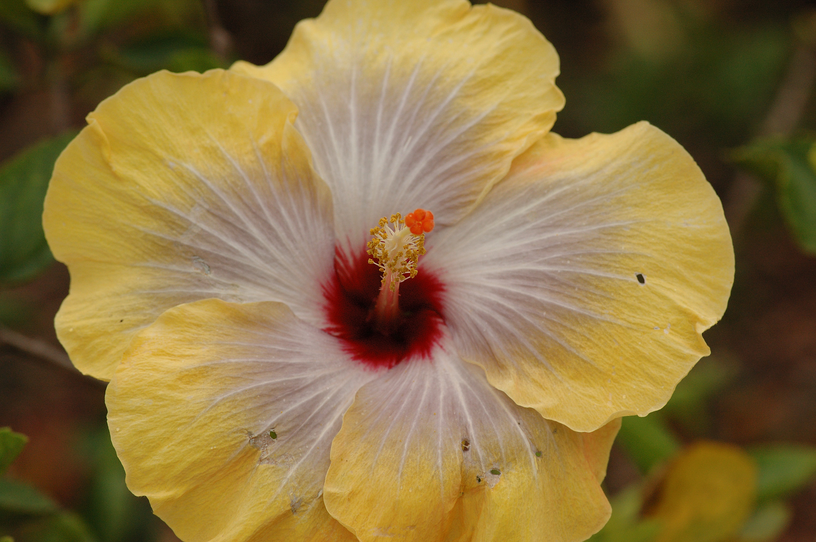 DSC_0110-X3.jpg