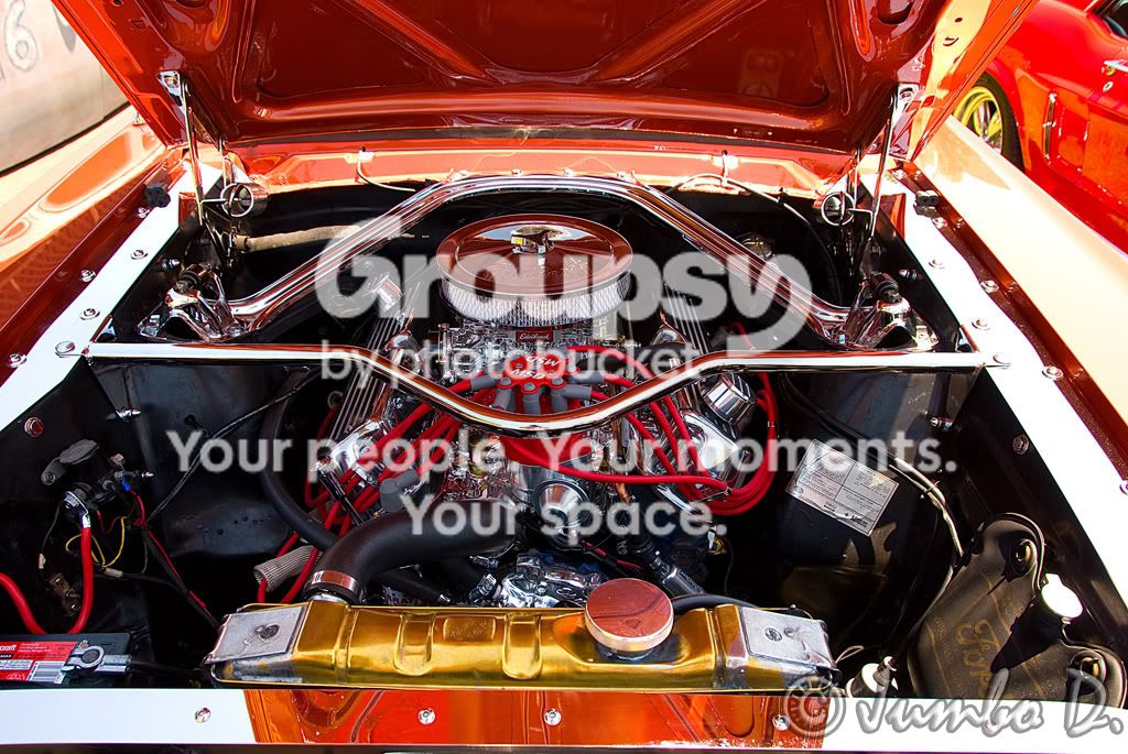 DSC_5848proccesedcopycopy.jpg