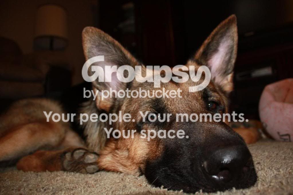 koda009.jpg