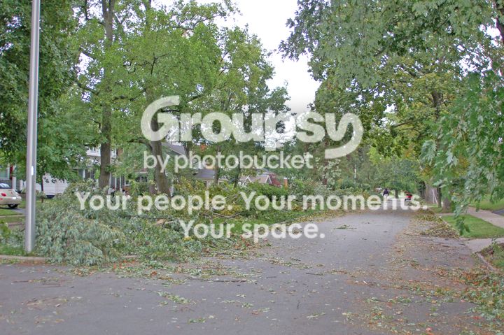 Oakwood001.jpg