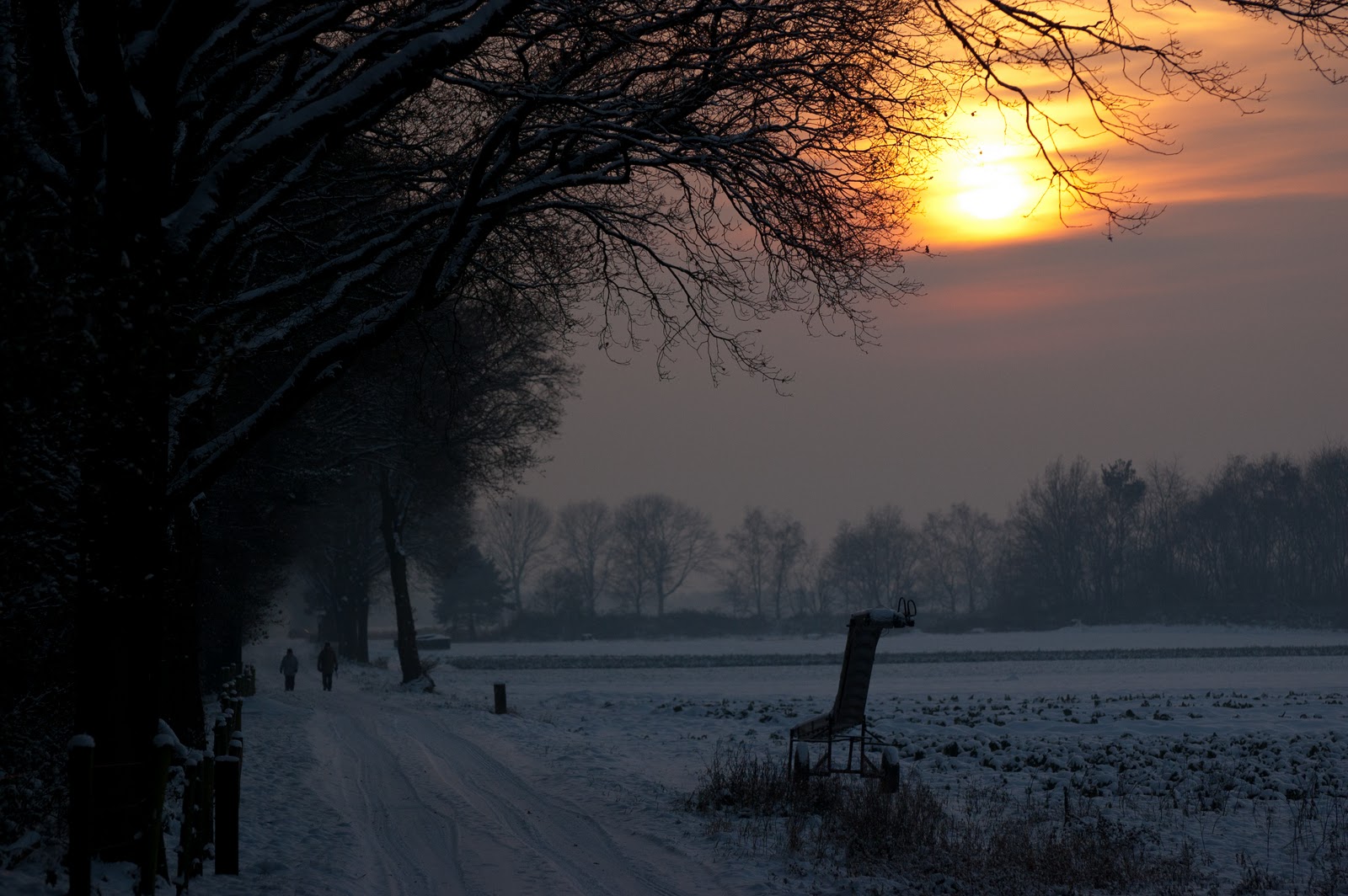DSC_9160-1-2.jpg