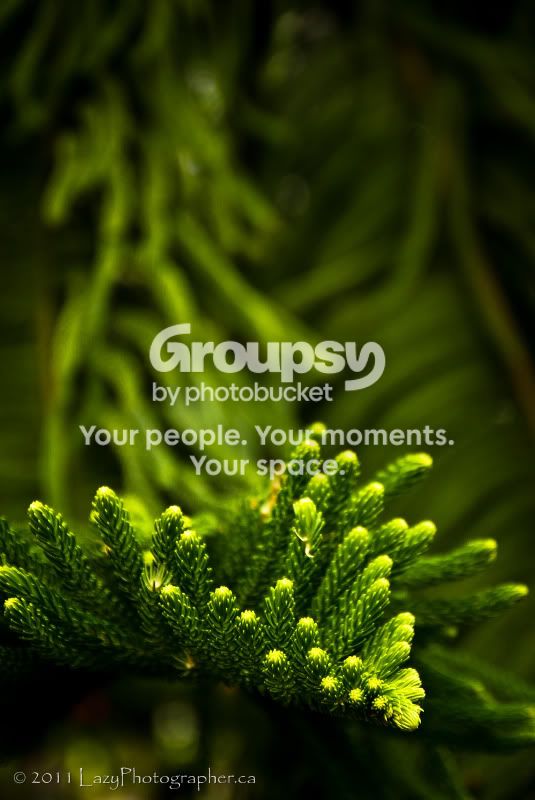 Greenhouse-34-EDITED.jpg
