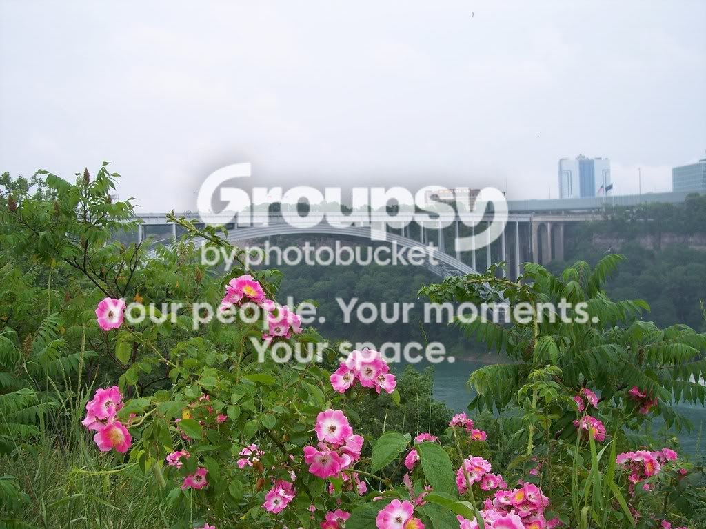 100_0404.jpg