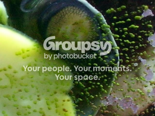 100_0746.jpg
