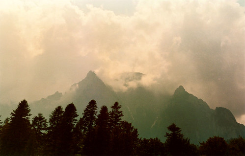 2094081996_16319a156d.jpg
