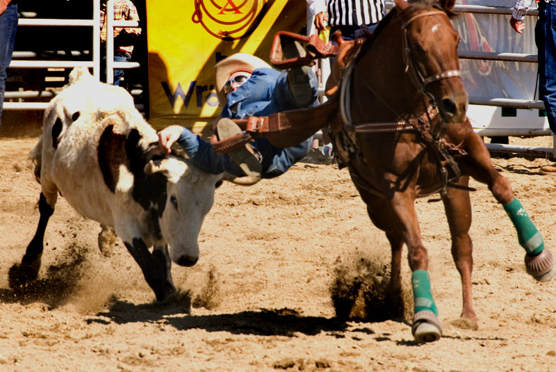 San%20Dimas%20Rodeo%2010-L.jpg