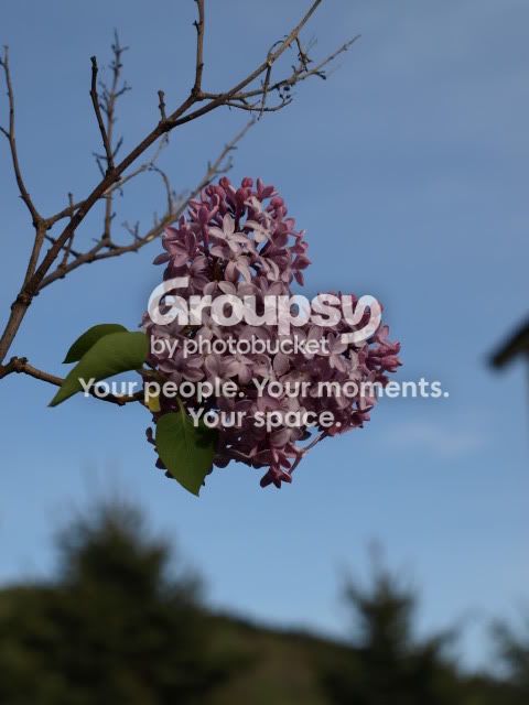 outside033-1.jpg