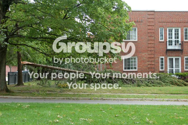 Oakwood010.jpg