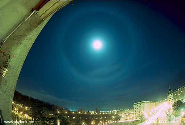 moonhalo_casado_big.jpg