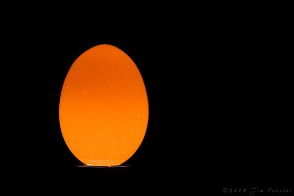 egg01.jpg